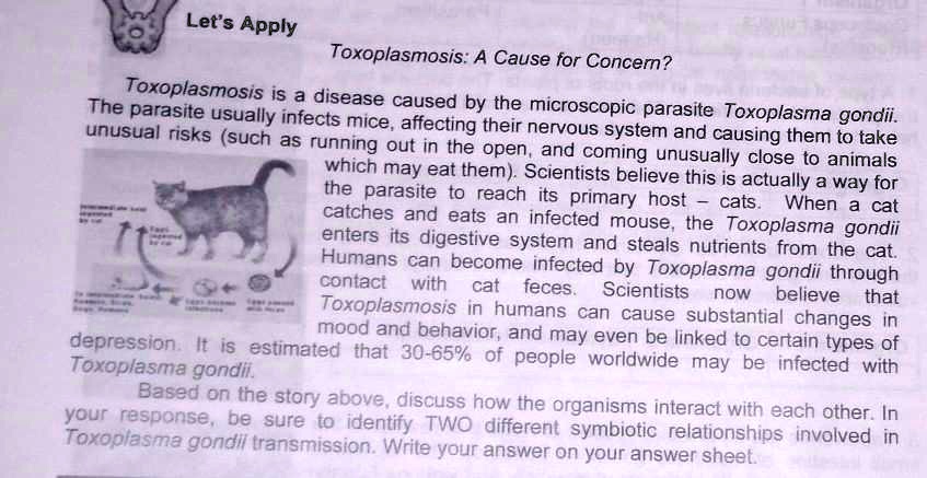 solved-pahelp-po-due-na-po-sa-march-6-let-s-apply-toxoplasmosis-a-cause-for-concern-toxoplasmosis-is-a-parasite-disease-caused-by-the-microscopic-parasite-toxoplasma-gondii-it-usually-infects-mice