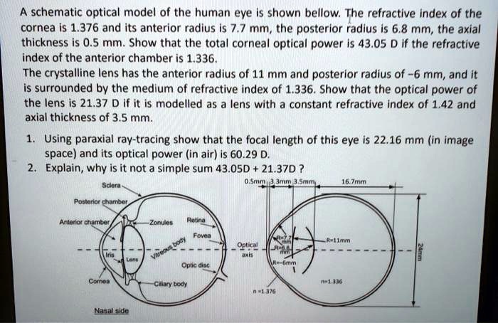 A Schematic Optical Model Of The Human Eye Is Shown Bellow The 