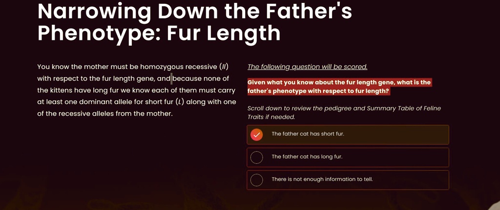 Narrowing Down the Father's
Phenotype: Fur Length
You know the mother must be homozygous recessive (ll)
with respect to the fur length gene, and because none of
the kittens have long fur we know each of them must carry
at least one dominant allele for short fur (L) along with one
of the recessive alleles from the mother.
The following question will be scored.
Given what you know about the fur length gene, what is the
father's phenotype with respect to fur length?
Scroll down to review the pedigree and Summary Table of Feline
Traits if needed.
The father cat has short fur.
The father cat has long fur.
There is not enough information to tell.
