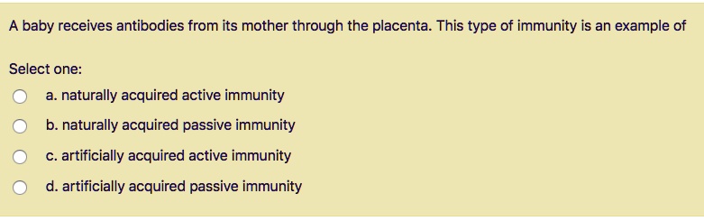 A baby receives antibodies from its mother through the placenta. This type of immunity is an example of

Select one:
a. naturally acquired active immunity
b. naturally acquired passive immunity
c. artificially acquired active immunity
d. artificially acquired passive immunity