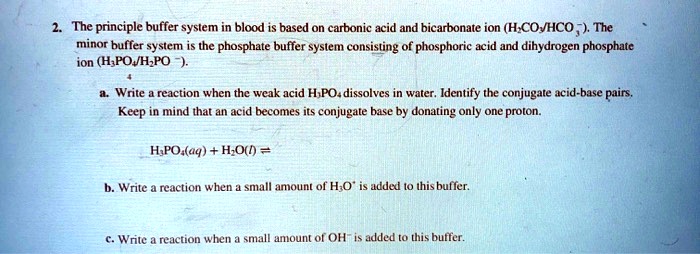 SOLVED: The - principle buffer syslem in blood is based on carbonic ...