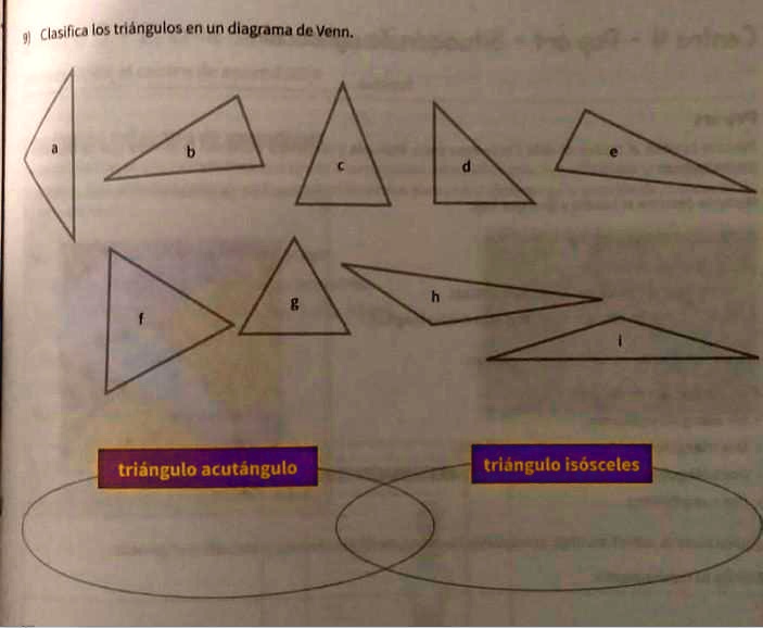 SOLVED: holaaaaaa ayudaaa please Clasifica los trángulos en un diagrama ...