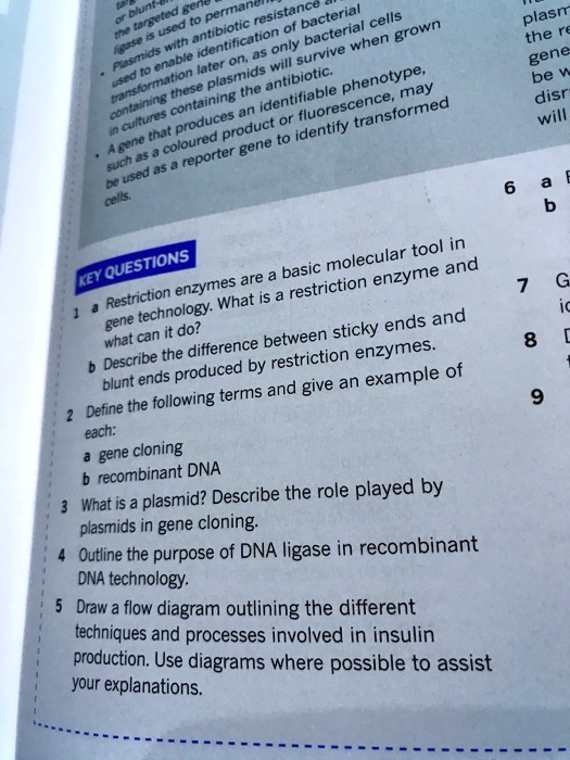 SOLVED Plasmid genes can be disrupted. Bacterial cells are resistant