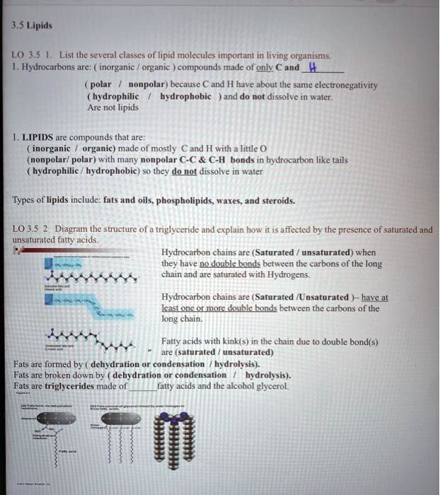 SOLVED 3.5 Lipids LO 5 List the several classes of lipid molecules
