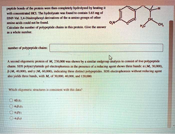 Prolein peptide bond of the prolein were then complelely hydralyzed by hcating ...