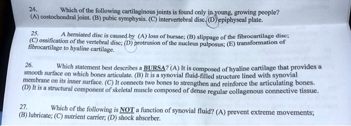 24. Which of the following cartilaginous joints is found only in young, growing people?
(A) costochondral joint. (B) pubic symphysis. (C) intervertebral disc. (D) epiphyseal plate.

25. A herniated disc is caused by (A) loss of bursae; (B) slippage of the fibrocartilage disc;
(C) ossification of the vertebral disc; (D) protrusion of the nucleus pulposus; (E) transformation of
fibrocartilage to hyaline cartilage.

26. Which statement best describes a BURSA? (A) It is composed of hyaline cartilage that provides a
smooth surface on which bones articulate. (B) It is a synovial fluid-filled structure lined with synovial
membrane on its inner surface. (C) It connects two bones to strengthen and reinforce the articulating bones.
(D) It is a structural component of skeletal muscle composed of dense regular collagenous connective tissue.

27. Which of the following is NOT a function of synovial fluid? (A) prevent extreme movements;
(B) lubricate; (C) nutrient carrier; (D) shock absorber.