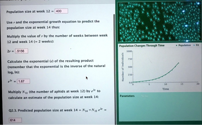 SOLVED: Population size at week 12 400 Use and the exponential growth ...