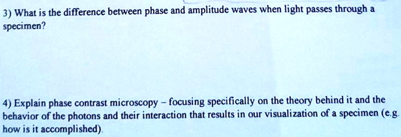 SOLVED: 3) What is the difference between phase and amplitude waves ...