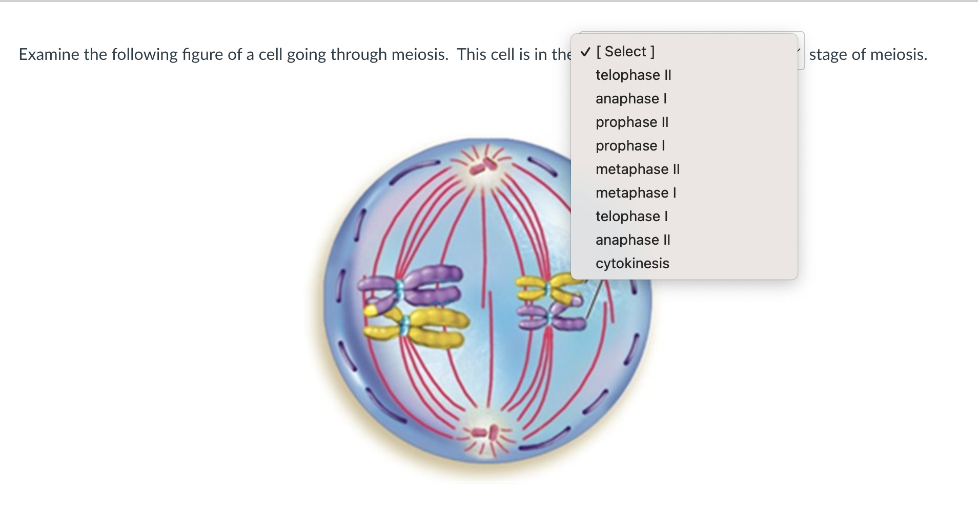 examine the following figure of a cell going through meiosis this cell ...