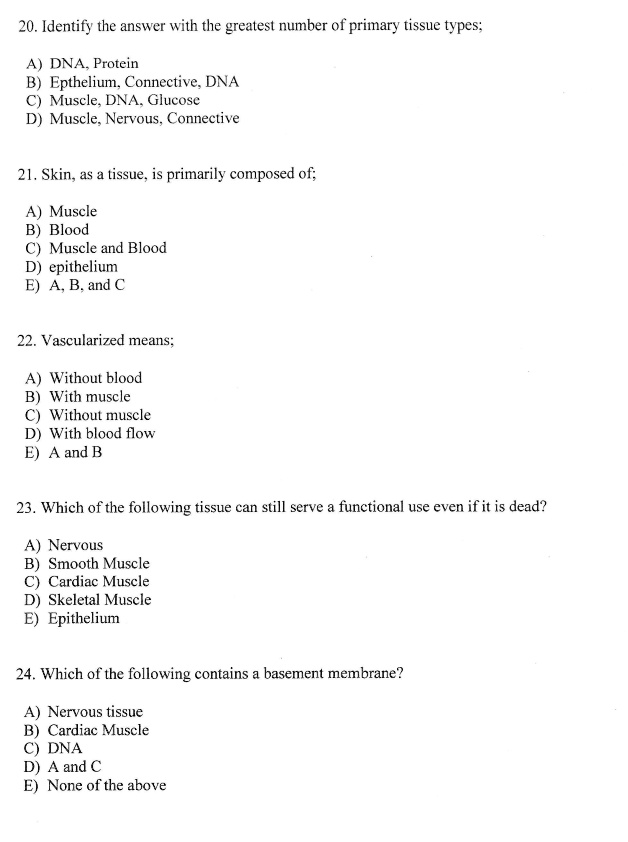 20. Identify the answer with the greatest number of primary tissue types;

A) DNA, Protein
B) Epithelium, Connective, DNA
C) Muscle, DNA, Glucose
D) Muscle, Nervous, Connective

21. Skin, as a tissue, is primarily composed of;

A) Muscle
B) Blood
C) Muscle and Blood
D) epithelium
E) A, B, and C

22. Vascularized means;

A) Without blood
B) With muscle
C) Without muscle
D) With blood flow
E) A and B

23. Which of the following tissue can still serve a functional use even if it is dead?

A) Nervous
B) Smooth Muscle
C) Cardiac Muscle
D) Skeletal Muscle
E) Epithelium

24. Which of the following contains a basement membrane?

A) Nervous tissue
B) Cardiac Muscle
C) DNA
D) A and C
E) None of the above