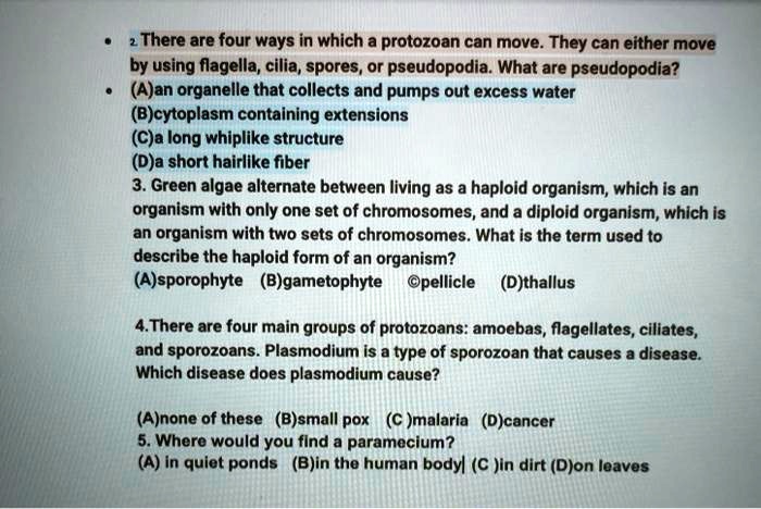 2. There are four ways in which a protozoan can move. They can either move
by using flagella, cilia, spores, or pseudopodia. What are pseudopodia?
(A)an organelle that collects and pumps out excess water
(B)cytoplasm containing extensions
(C)a long whiplike structure
(D)a short hairlike fiber
3. Green algae alternate between living as a haploid organism, which is an
organism with only one set of chromosomes, and a diploid organism, which is
an organism with two sets of chromosomes. What is the term used to
describe the haploid form of an organism?
(A)sporophyte (B)gametophyte (C)pellicle (D)thallus
4. There are four main groups of protozoans: amoebas, flagellates, ciliates,
and sporozoans. Plasmodium is a type of sporozoan that causes a disease.
Which disease does plasmodium cause?
(A)none of these (B)small pox (C)malaria (D)cancer
5. Where would you find a paramecium?
(A) in quiet ponds (B)in the human body (C)in dirt (D)on leaves