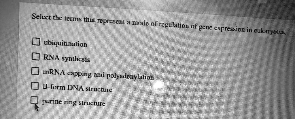 Solved: Select The Terms That Represent Modes Of Regulation Of Gene 