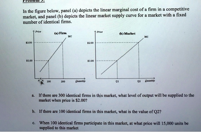 In The Figure Below, Panel A Depicts The Linear Marginal Cost Of A Firm ...