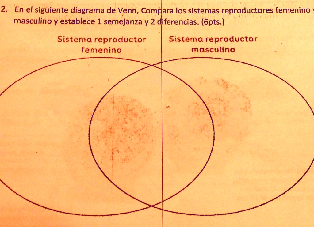 SOLVED: En el siguiente diagrama de Venn, Compara los sistemas