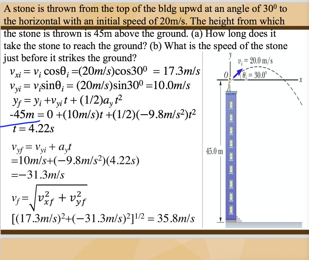 A stone is thrown from the top of the bldg upwd at an angle of 30° to ...