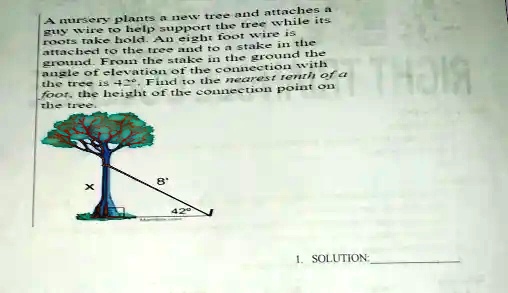 A nursery plants a new tree and attaches a guy wire to help support the tree while its roots take hold. An eight foot wire is attached to the tree and to a stake in the ground. From the stake in the ground the angle of elevation of the connection with the tree is 42°. Find to the nearest tenth of a foot, the height of the connection point on the tree.
