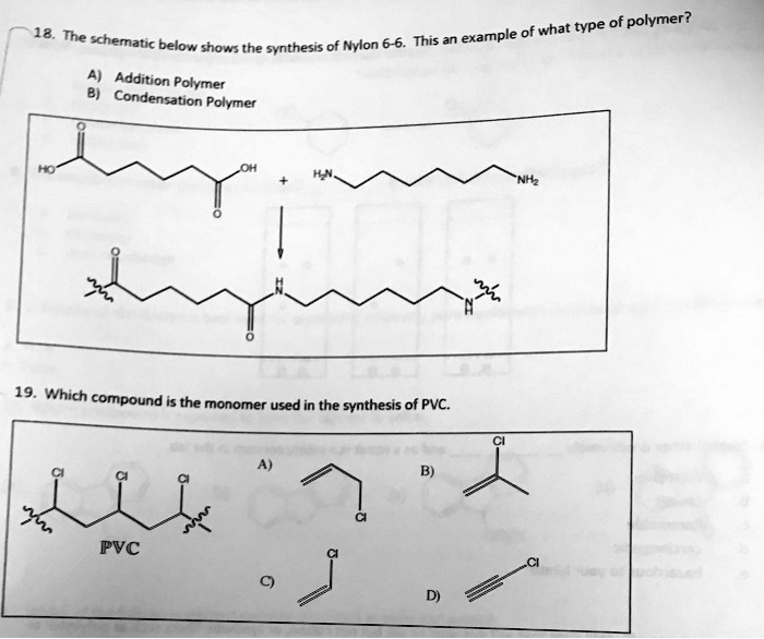 SOLVED18. of what type of polymer? The schematic below shows the