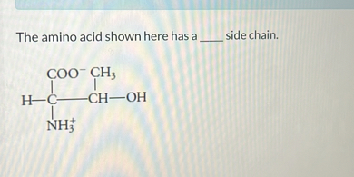 The amino acid shown here has a  side chain.