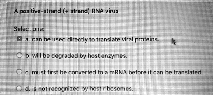 A positive-strand (+ strand) RNA virus
Select one:
a. can be used directly to translate viral proteins.
b. will be degraded by host enzymes.
c. must first be converted to a mRNA before it can be translated.
d. is not recognized by host ribosomes.