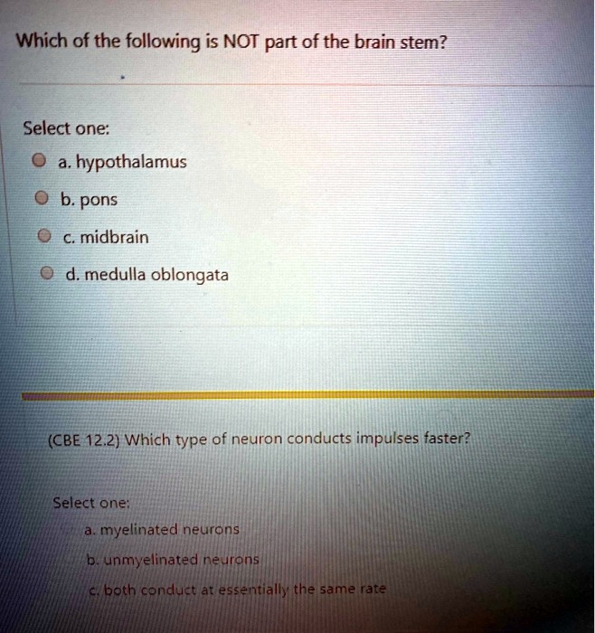 Which of the following is NOT part of the brain stem?
Select one:
a. hypothalamus
b. pons
c. midbrain
d. medulla oblongata
(CBE 12.2) Which type of neuron conducts impulses faster?
Select one:
a. myelinated neurons
b. unmyelinated neurons
c. both conduct at essentially the same rate