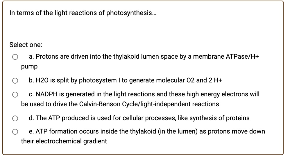 In terms of the light reactions of photosynthesis...
Select one:
a. Protons are driven into the thylakoid lumen space by a membrane ATPase/H+ pump
b. H2O is split by photosystem I to generate molecular O2 and 2 H+
c. NADPH is generated in the light reactions and these high energy electrons will be used to drive the Calvin-Benson Cycle/light-independent reactions
d. The ATP produced is used for cellular processes, like synthesis of proteins
e. ATP formation occurs inside the thylakoid (in the lumen) as protons move down their electrochemical gradient
