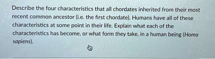 SOLVED: Describe the four characteristics that all chordates inherited