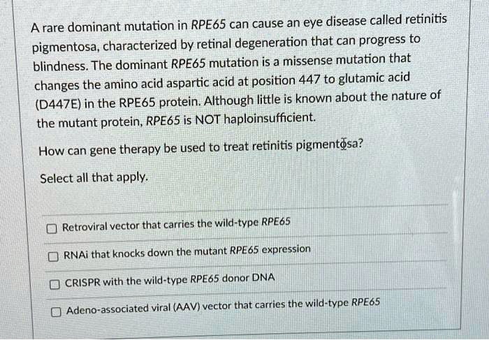 A rare dominant mutation in RPE65 can cause an eye disease called retinitis pigmentosa, characterized by retinal degeneration that can progress to blindness. The dominant RPE65 mutation is a missense mutation that changes the amino acid aspartic acid at position 447 to glutamic acid (D447E) in the RPE65 protein. Although little is known about the nature of the mutant protein, RPE65 is NOT haploinsufficient.
How can gene therapy be used to treat retinitis pigmentosa?
Select all that apply.
Retroviral vector that carries the wild-type RPE65
RNAi that knocks down the mutant RPE65 expression
CRISPR with the wild-type RPE65 donor DNA
Adeno-associated viral (AAV) vector that carries the wild-type RPE65