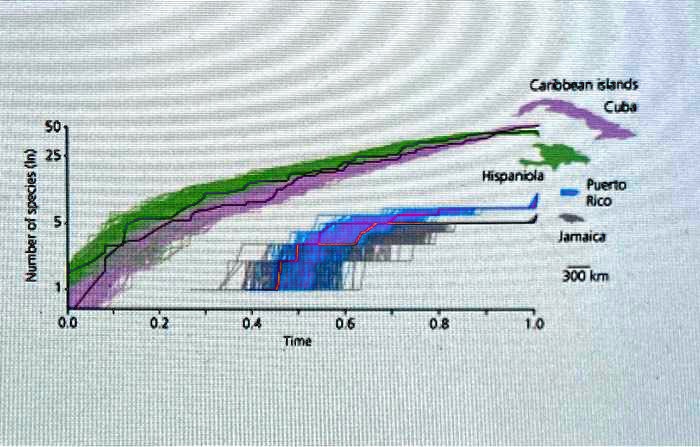 SOLVED: Text: Fully explain the following figure. What does it say ...