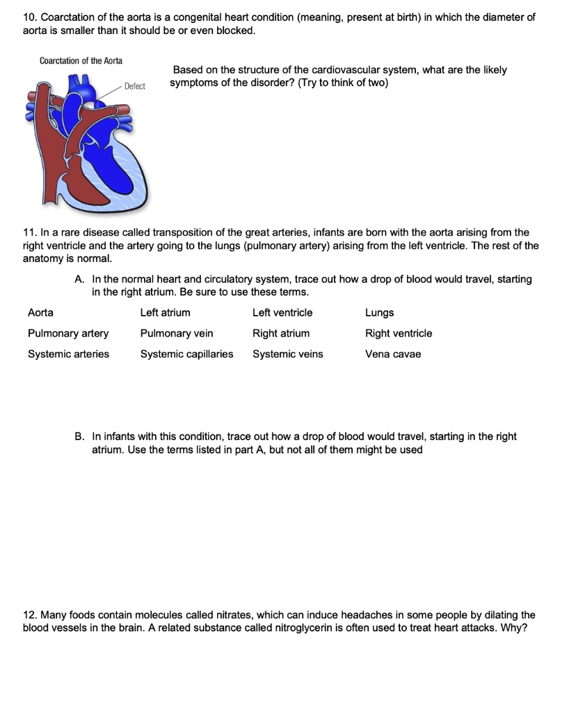 10. Coarctation of the aorta is a congenital heart condition (meaning, present at birth) in which the diameter of aorta is smaller than it should be or even blocked. Coarctation of the Aorta Defect Based on the structure of the cardiovascular system, what are the likely symptoms of the disorder? (Try to think of two) 11. In a rare disease called transposition of the great arteries, infants are born with the aorta arising from the right ventricle and the artery going to the lungs (pulmonary artery) arising from the left ventricle. The rest of the anatomy is normal. A. In the normal heart and circulatory system, trace out how a drop of blood would travel, starting in the right atrium. Be sure to use these terms. Aorta Left atrium Left ventricle Lungs Pulmonary artery Pulmonary vein Right atrium Right ventricle Systemic arteries Systemic capillaries Systemic veins Vena cavae B. In infants with this condition, trace out how a drop of blood would travel, starting in the right atrium. Use the terms listed in part A, but not all of them might be used 12. Many foods contain molecules called nitrates, which can induce headaches in some people by dilating the blood vessels in the brain. A related substance called nitroglycerin is often used to treat heart attacks. Why?