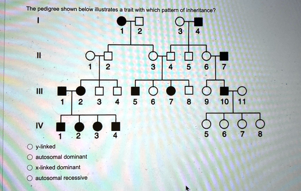 The pedigree shown below illustrates a trait with which pattern of ...