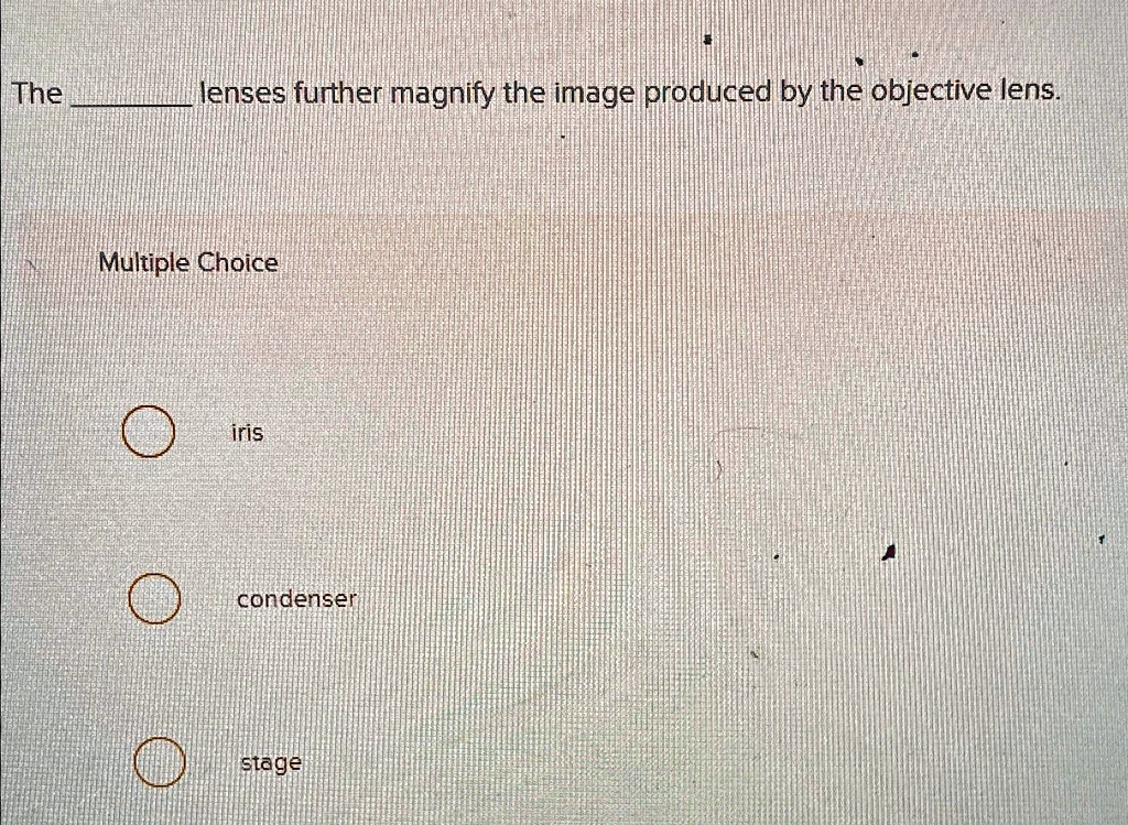 SOLVED The lenses further magnify the image produced by the objective