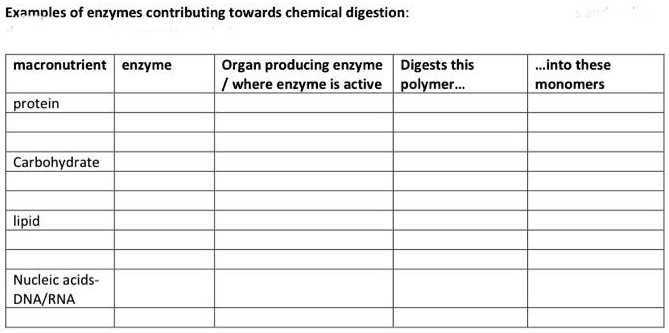 Examples of enzymes contributing towards chemical digestion:

macronutrient | enzyme | Organ producing enzyme / where enzyme is active | Digests this polymer... | ...into these monomers
protein | | | |
| | | |
| | | |
Carbohydrate | | | |
| | | |
| | | |
lipid | | | |
| | | |
| | | |
Nucleic acids- DNA/RNA | | | |
| | | |