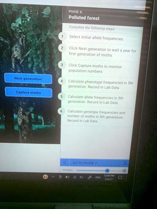 SOLVED:PHASE 6; Polluted forest Complete the following tops; Select
