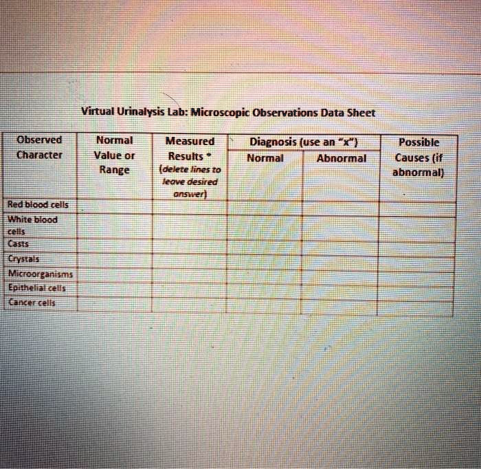 Red Blood Cells In Urinalysis Normal Range