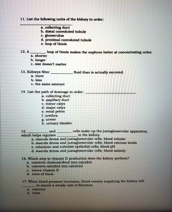 Video Solution: 11. List The Following Units Of The Kidney In Order: A 