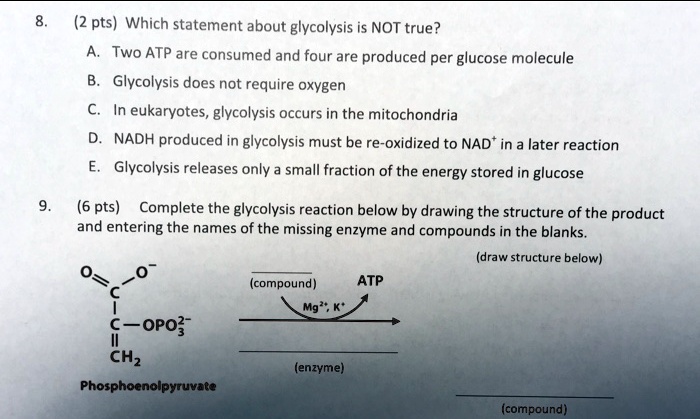 8. (2 pts) Which statement about glycolysis is NOT true?
A. Two ATP are consumed and four are produced per glucose molecule
B. Glycolysis does not require oxygen
C. In eukaryotes, glycolysis occurs in the mitochondria
D. NADH produced in glycolysis must be re-oxidized to NAD+ in a later reaction
E. Glycolysis releases only a small fraction of the energy stored in glucose

9. (6 pts) Complete the glycolysis reaction below by drawing the structure of the product and entering the names of the missing enzyme and compounds in the blanks.
(draw structure below)
Phosphoenolpyruvate
(compound)
ATP
Mg2+, K+
(enzyme)
(compound)