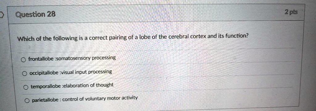 Which of the following is a correct pairing of a lobe of the cerebral cortex and its function?

frontal lobe: somatosensory processing
occipital lobe: visual input processing
temporal lobe: elaboration of thought
parietal lobe: control of voluntary motor activity