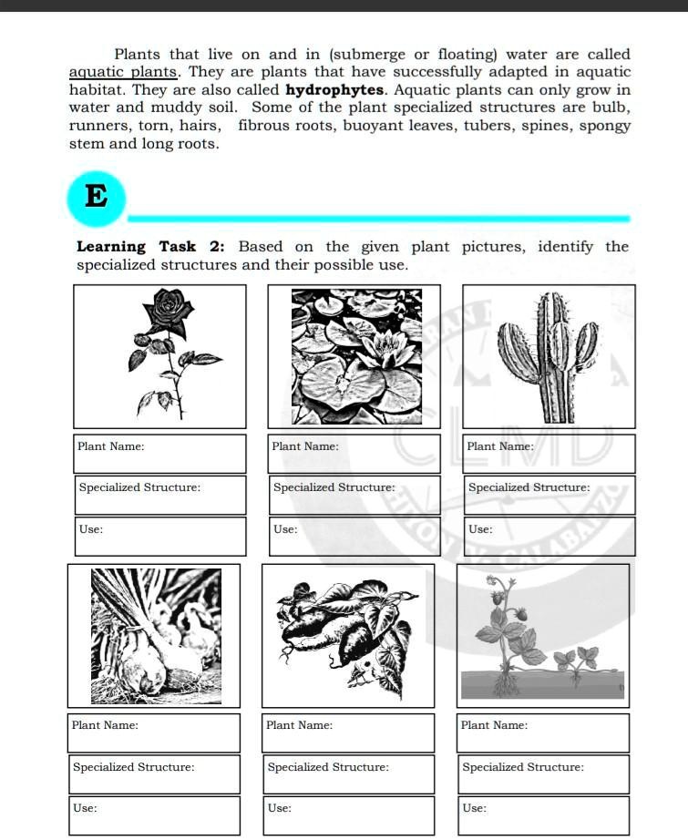 SOLVED Name of plant structures used Plants that live on and in
