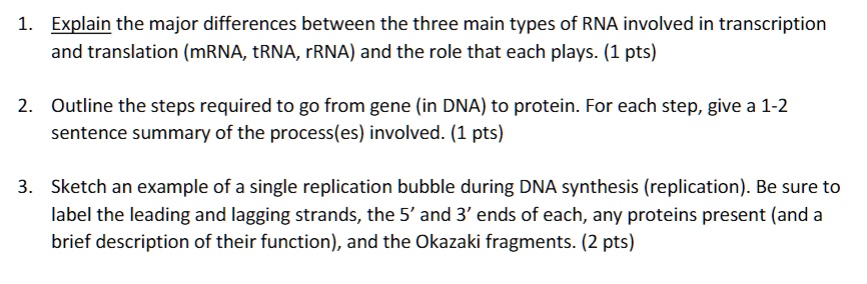 1. Explain the major differences between the three main types of RNA ...