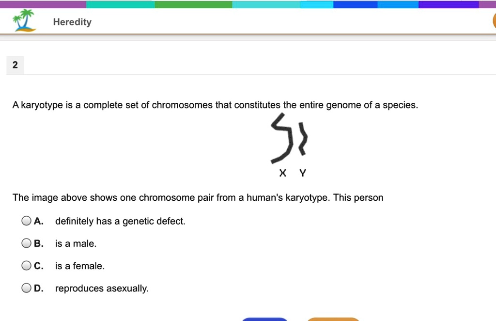 A karyotype is a complete set of chromosomes that constitutes the entire genome of a species.

X Y

The image above shows one chromosome pair from a human's karyotype. This person

A. definitely has a genetic defect.
B. is a male.
C. is a female.
D. reproduces asexually.
