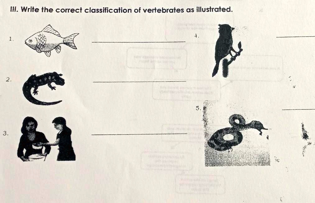 SOLVED: I. Write the correct classification of vertebrates as ...