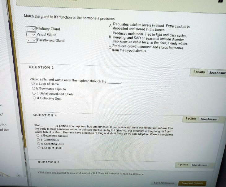 SOLVED Malch the gland to its function or the hormone produces