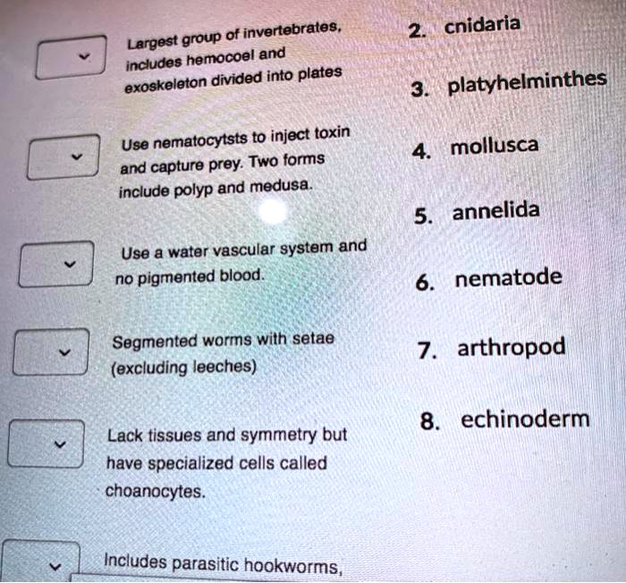 SOLVED:Largest 'group of invertebrates, includes hemocoel and