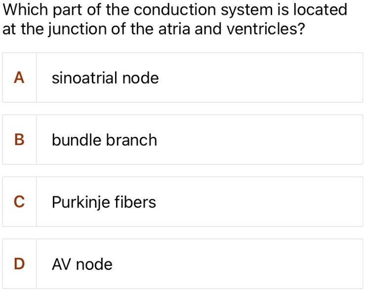 which part of the conduction system is located at the junction of the atria and ventricles a sinoatrial node b bundle branch c purkinje fibers d av node 66635