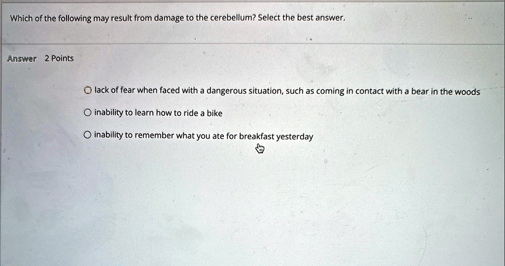 which of the following may result from damage to the cerebellum select the best answer answer 2 points lack of fear when faced with a dangerous situation such as coming in contact with a bea 29812
