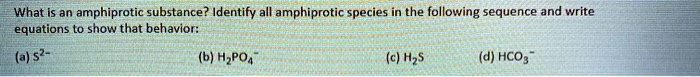 SOLVED: What Is an amphiprotic substance? Identify all amphiprotic