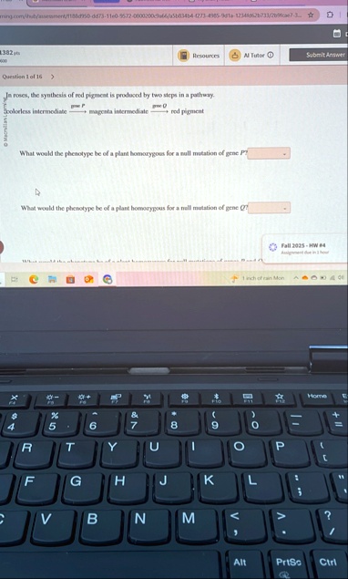 4382 pts resources ai tutor submit answer question 1 of 16 in roses the synthesis of red pigment is produced by two steps in a pathway colorless intermediate xrightarrowtextgene p magenta in 34073