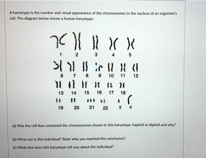 SOLVED: A karyotype is the number and visual appearance of the ...