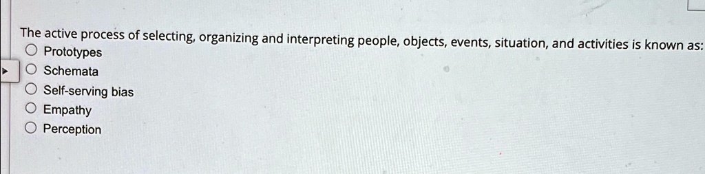 The active process of selecting, organizing, and interpreting people ...