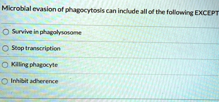Microbial evasion of phagocytosis can include all of the following EXCEPT
Survive in phagolysosome
Stop transcription
Killing phagocyte
Inhibit adherence